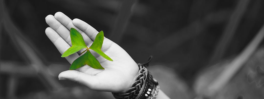 A hand holding a small green leaf